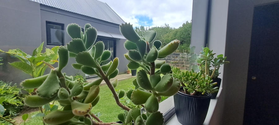To Let 4 Bedroom Property for Rent in Brackenridge Western Cape